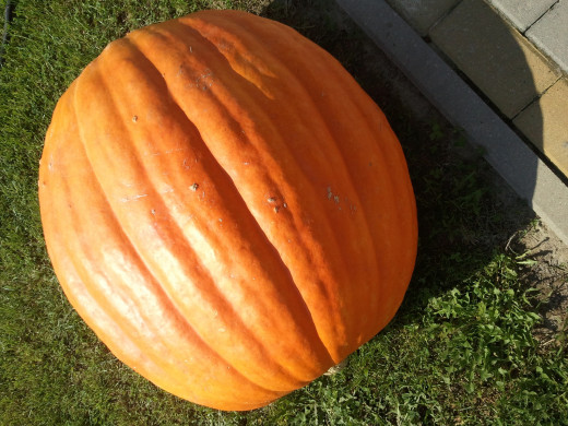 1084655 (a): :2560x1920